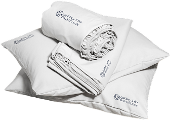 Screenshot 2026-02-01 205707-Photoroom 1